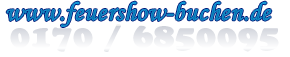 feuershow-buchen.de